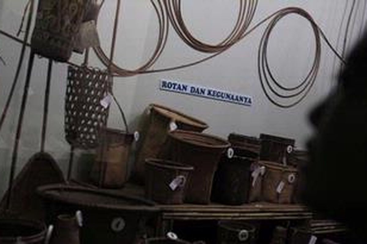  Pengunjung melihat koleksi Museum Etnobotani Indonesia di Jalan Juanda, Kota Bogor, Jawa Barat, Kamis (2/8/2012). Museum yang diresmikan 18 Mei 1982 ini memiliki 1.700 nomor koleksi yang berasal dari seluruh Indonesia. Bertujuan memberikan informasi tentang berbagai bentuk pemanfaatan tumbuhan oleh suku bangsa di Indonesia. 