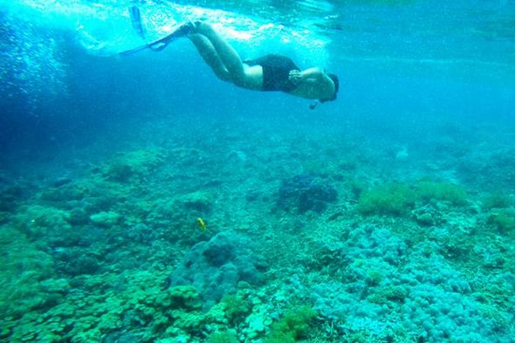 Spot snorkeling di Desa Sawandarek.