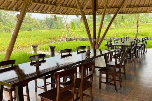 Restoran Tepi Sawah di Yogyakarta, Bersantap Sambil Nikmati Suasana Desa