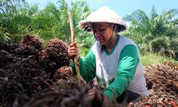 Kebijakan Pro-Perempuan ANJ: Kesetaraan Gender dan Pemenuhan Hak Pekerja Perempuan