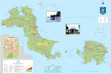 Pemprov Undang Investor Kelola 123.000 Hektar Lahan Kritis di Bangka Belitung 