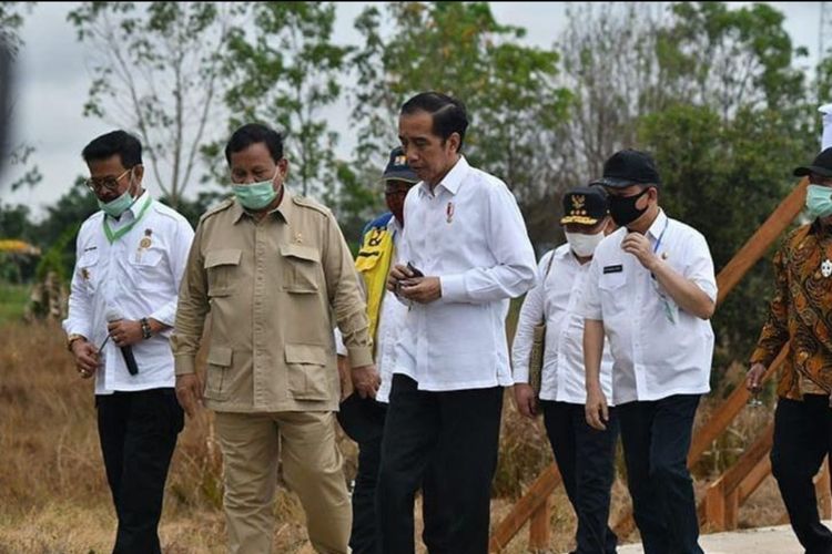 Mentan Syahrul Yasin Limpo saat mendampingi Presiden Joko Widodo meninjau lokasi food estate di Kalteng, Kamis (9/7/2020).