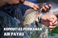 10 Jenis Komoditas Perikanan Air Payau 