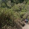 Jalur Pendakian Gunung Semeru Disebut Bakal Dibuka Lagi