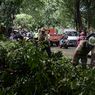 Akibat Hujan Deras, Pohon Tumbang di Duren Sawit hingga Timpa Kabel Internet