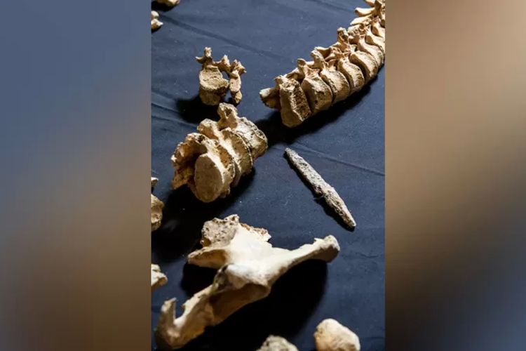 Sebuah besi dari ujung tombak ditemukan tertanam di tulang belakang kerangka pria yang diperkirakan berusia antara 17-24 tahun.