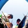KKP Melalui BRSDM Kembangkan Budidaya Ikan Lele Mutiara
