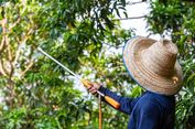 Bahaya Pestisida, Hampir 50 Persen Petani Dunia Keracunan Tiap Tahun