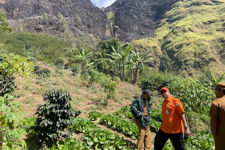 4,5 Hektar Hutan di Lereng Bromo Terbakar, Petugas Tak Bisa Padamkan Manual