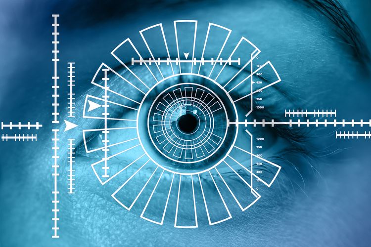 Pemindaian biometrik iris manusia.