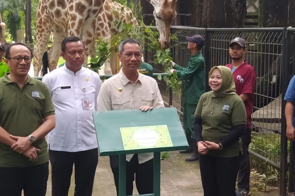 Penjabat (Pj) Gubernur DKI Jakarta Heru Budi Hartono kembali menanam pohon di Taman Margasatwa Ragunan (TMR), Jakarta Selatan, Jumat (3/2/2023). Tak hanya menanam pohon, di lokasi yang sama, Heru memberi nama kepada anak jerapah dan anak gajah.