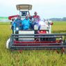 Nilai Tukar Petani Juni 2023 Naik Tinggi, Lanjutkan Tren Positif Nasional sejak 2021