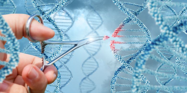Berita Harian Biologi Terbaru Hari Ini Kompas Com