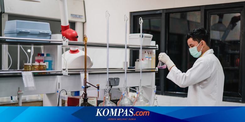 Lowongan Magang Bersertifikat Batch 2 Petrokimia Gresik - Vimarsana News