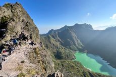 Menko Pangan Ajak Perwakilan Dubes Blusukan Hutan Rajabasa Hingga Penanaman Bibit Pohon