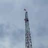 Pernah Kritik Pemerintah dengan Naik Papan Reklame, Kini Agustinus Panjat Tower Setinggi 43 Meter di Sikka