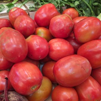Harga tomat di pasar Koja Baru ikut mengalami kenaikan jelang bulan Ramadan, Kamis (7/3/2024).