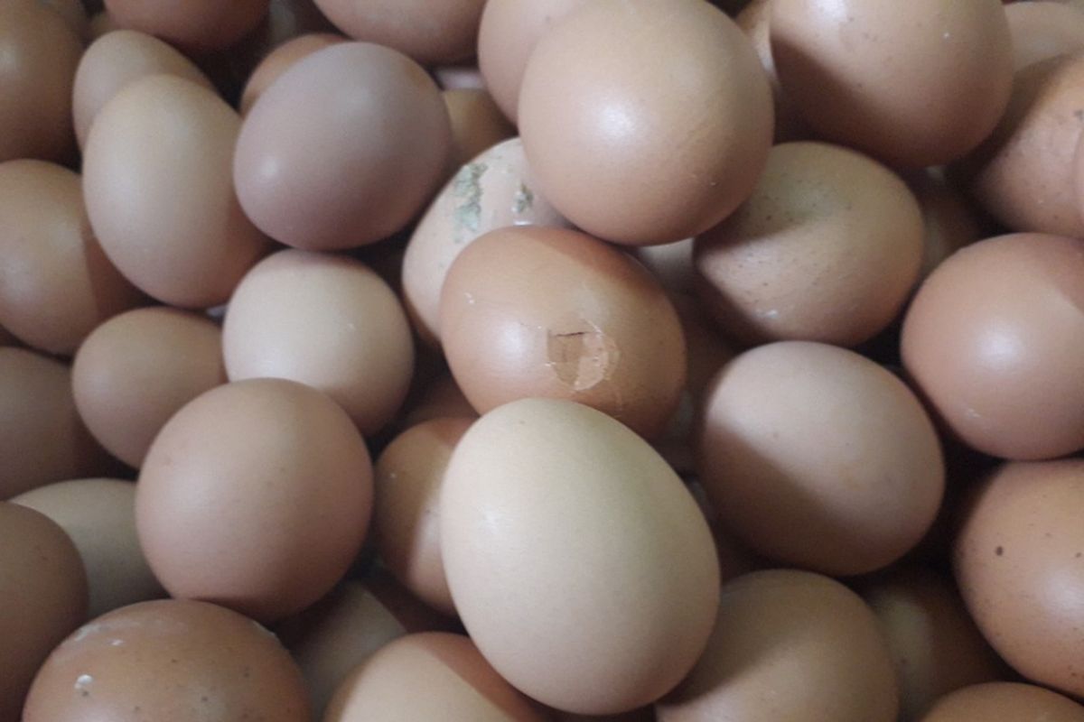 Telur yang retak tetap dijual di Pasar Rawabadak, Jakarta Utara, Senin (23/7/2018).