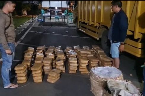 Fakta Penyelundupan 173 Kg Ganja dari Mandailing Natal, Diselip di Antara Kedondong