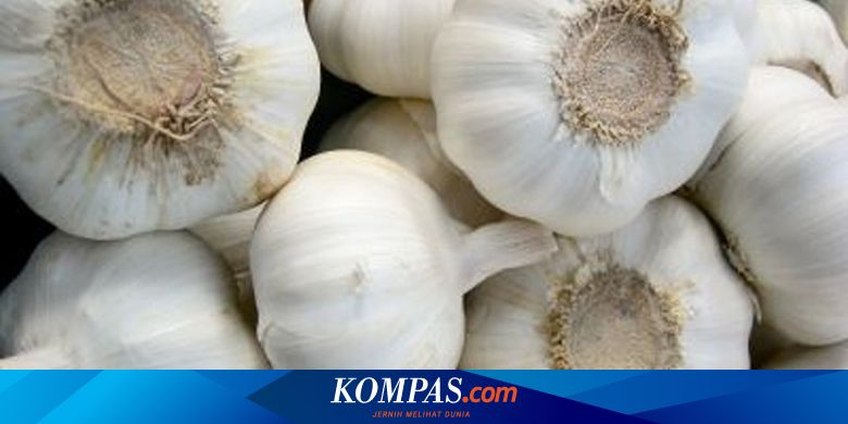 Khasiat bawang putih bakar