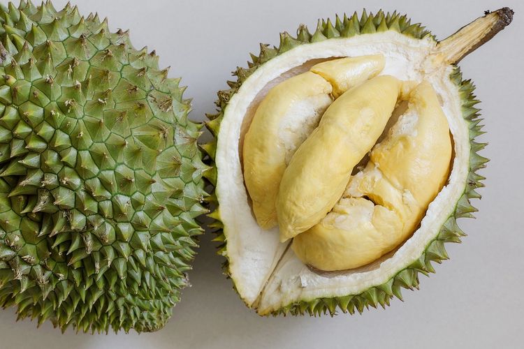 Ilustrasi durian, buah durian.