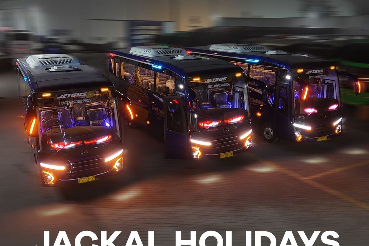 Bus baru Jackal Holidays