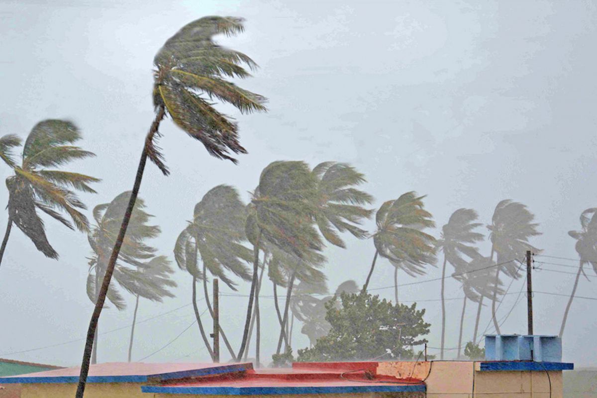 Pohon palem bergoyang-goyang di pantai Santa Lucia, Kuba karena badai Irma, 9 September 2017.