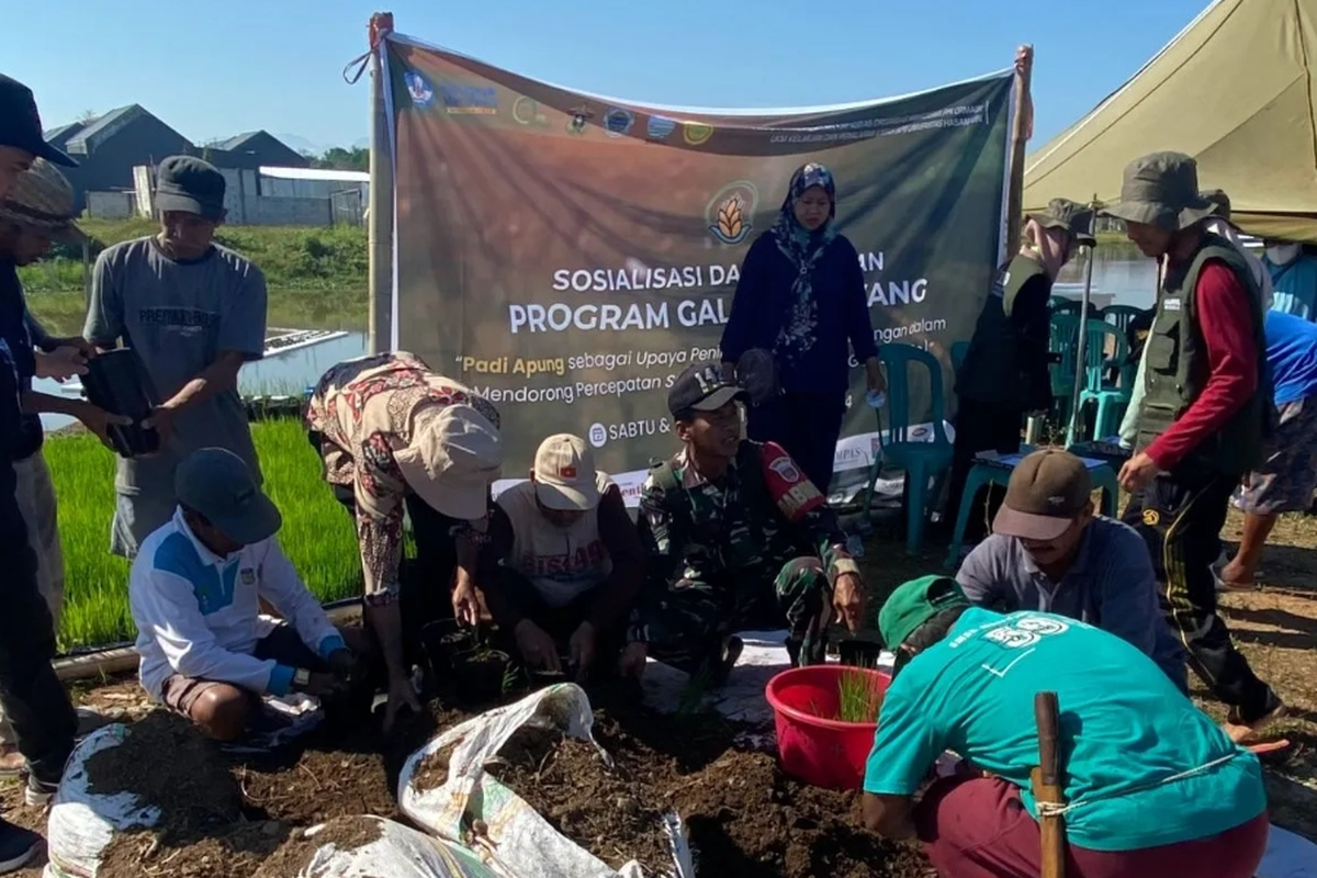 Pelatihan budidaya padi apung oleh mahasiswa Unhas kepada masyarakat Desa Moncongloe, Maros, Sulsel, Minggu (14/07/2024). 