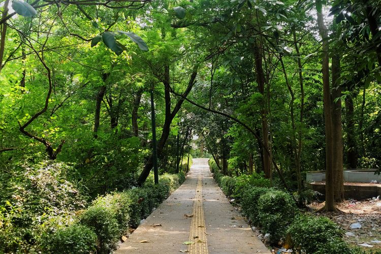 Hutan Kota Srengseng, Jakarta Barat, Selasa (14/10/2025). 