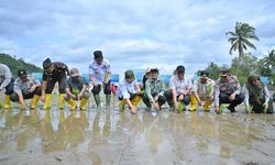 Pemulihan Sawah Pascabencana Dipercepat, Lebih dari 2.000 Hektar Pulih dalam Dua Pekan