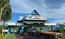 Tak Ada Korban Jiwa, Pelindo Petikemas Pastikan Operasional TPK Bitung Tetap Berjalan
