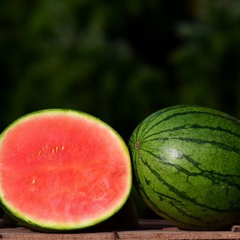 Ilustrasi buah semangka