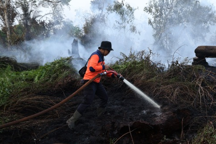 4 Perusahaan di Kalbar Diperiksa Terkait Karhutla, Ini Daftarnya