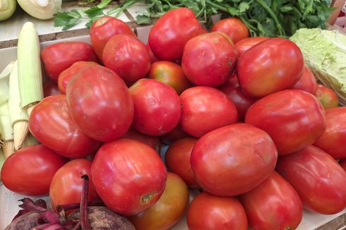 Harga Tomat Ikut Naik Jelang Bulan Ramadhan
