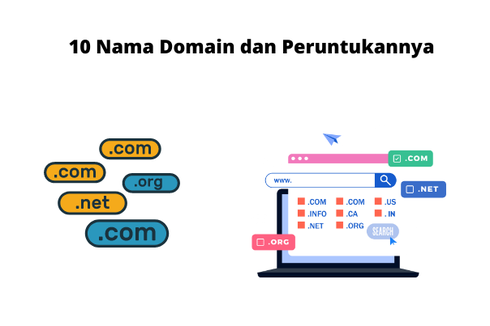 10 Nama Domain dan Peruntukannya