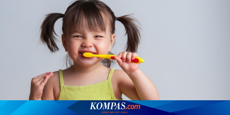 Kapan Waktu  yang Tepat Mengganti Sikat  Gigi  