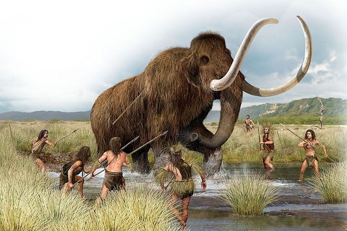 Ilustrasi perburuan mammoth oleh manusia purba. Hewan purba yang telah punah ini berencana dihidupkan kembali.