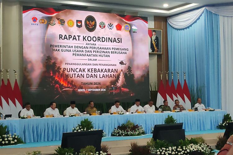 Pemerintah Kumpulkan 358 Perusahaan Pemegang HGU buat Bahas Karhutla