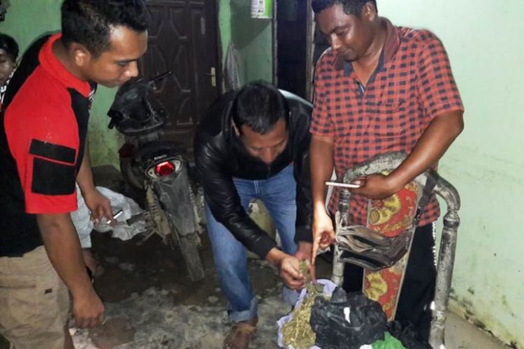 Polisi memperlihatkan barang bukti ganja dari pelaku penganiayaan di Desa Ladang Baro, Kecamatan Julok, Kabupaten Aceh Timur, Kamis (11/10/2018) dini hari.