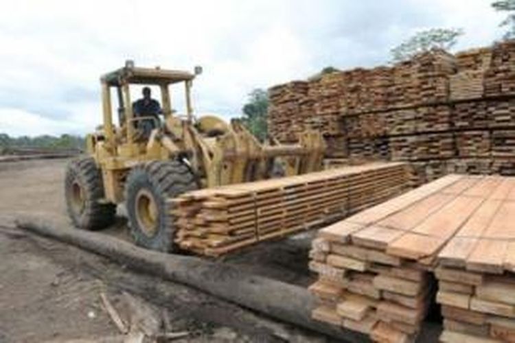 Perusahaan Cloudy Bay Sustainable Forestry yang beroperasi di Papua Nugini.