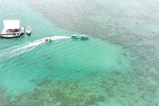 Masa Depan Nelayan dan Biodiversitas Pulau-pulau Kecil di Jawa Timur Terancam