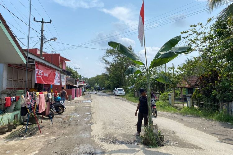 Warga Kampung Sangiang, Kecamatan Rangkasbitung, Kabupaten Lebak, Banten menanam pohon pisang saat HUT ke-77 RI, Rabu (17/8/2022).