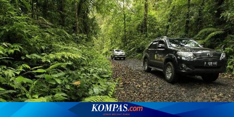 Kalibaru Surga Tersembunyi Di Banyuwangi Halaman All Kompas Com