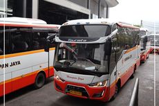 10 Bus Baru PO Harapan Jaya, Polos Tanpa Livery Kuda