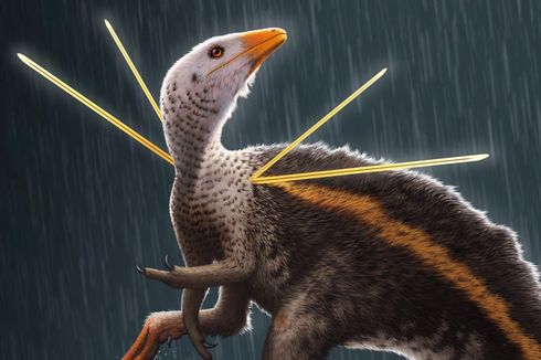 Tak Pernah Terlihat Sebelumnya, Dinosaurus Ini Punya Pita Kaku di Bahu