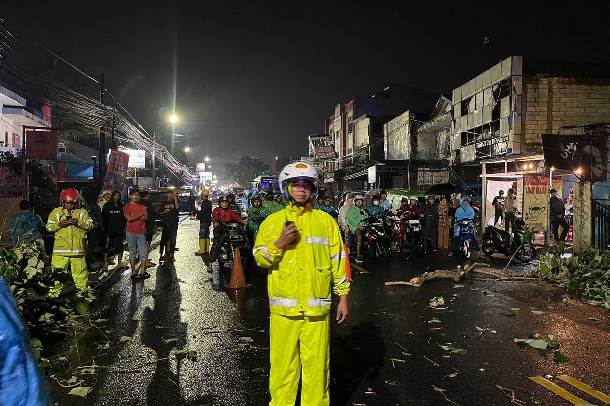 Petugas kepolisian saat mengatur arus lalu lintas di lokasi pohon tumbang di Jalan Raya Tajur, Kota Bogor, Jawa Barat, Selasa (24/10/2024).