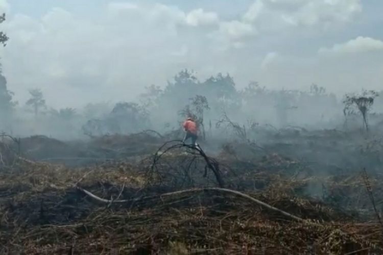 Seorang anggota Manggala Agni Sumatera V Daops Dumai sedang berjibaku memadamkan titik api karhutla di Kelurahan Tanjung Kapal, Kecamatan Rupat, Kabupaten Bengkalis, Riau, Sabtu (29/8/2020).