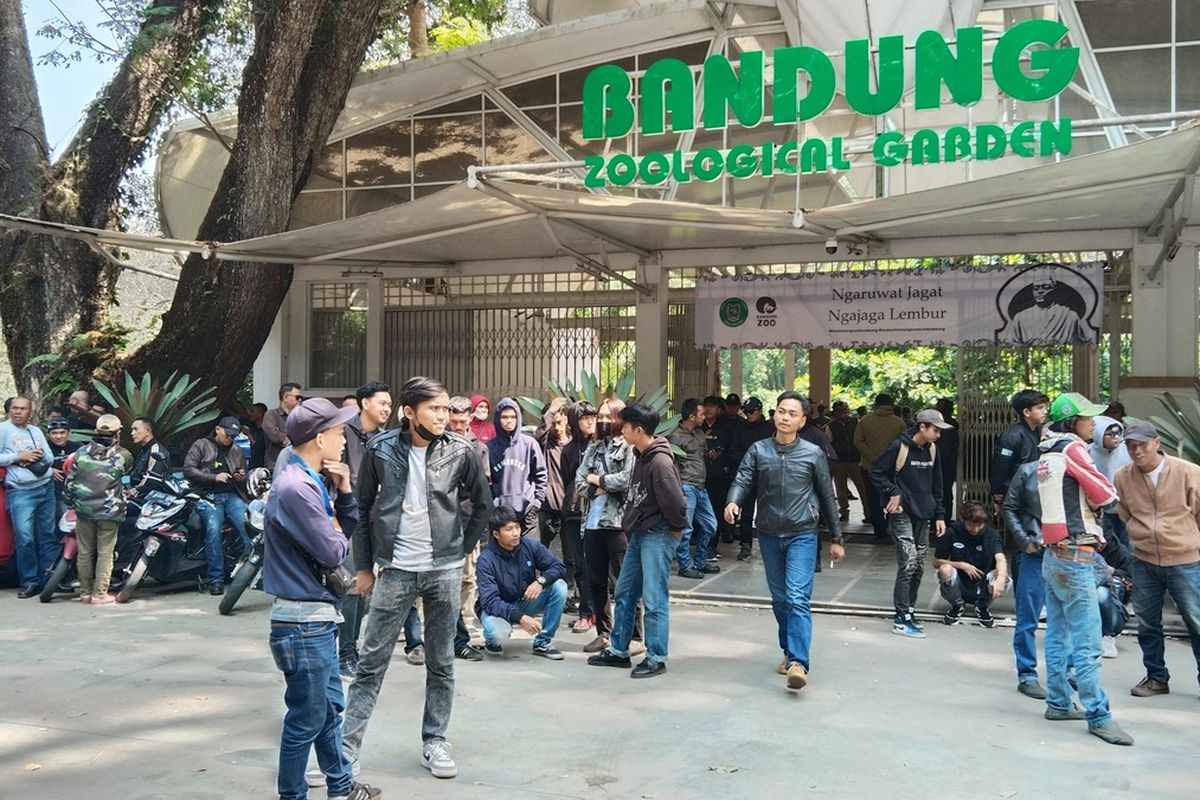 Harga Tiket Masuk Kebun Binatang Bandung Hari Ini