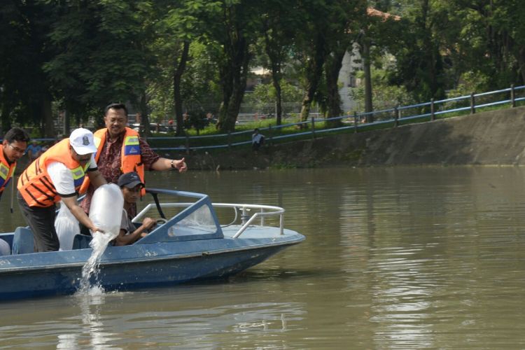 Pelepasan bibit ikan di sungai Kali Surabaya, Sabtu (25/3/2017).
