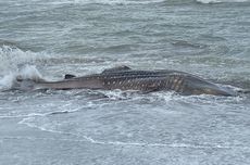 Wamendagri Tinjau Posko Bencana di Solok, Tekankan Komunikasi Efektif